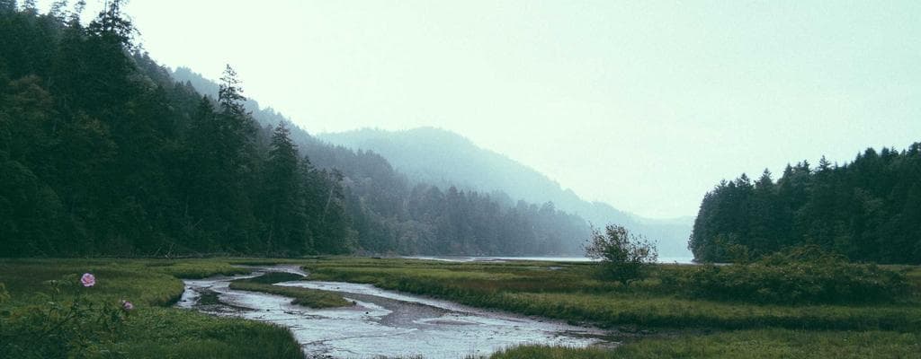 Unlock Your Potential: Fitness Guide 20