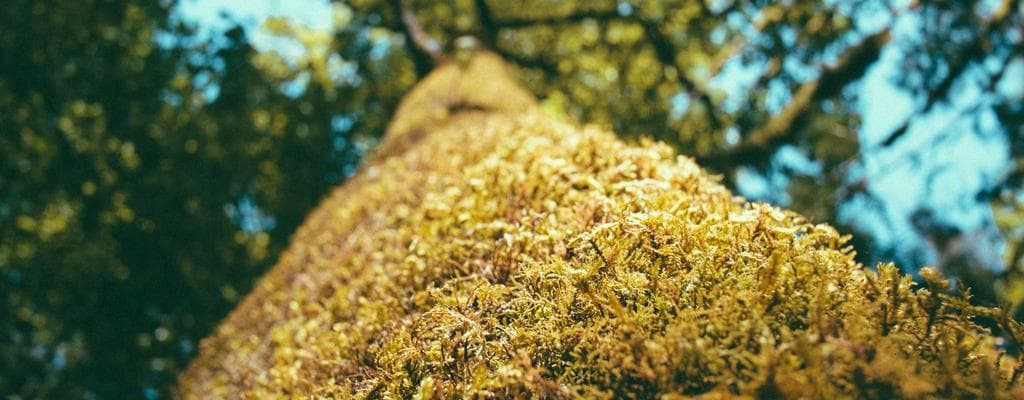 Unlock Your Potential: Fitness Guide 18