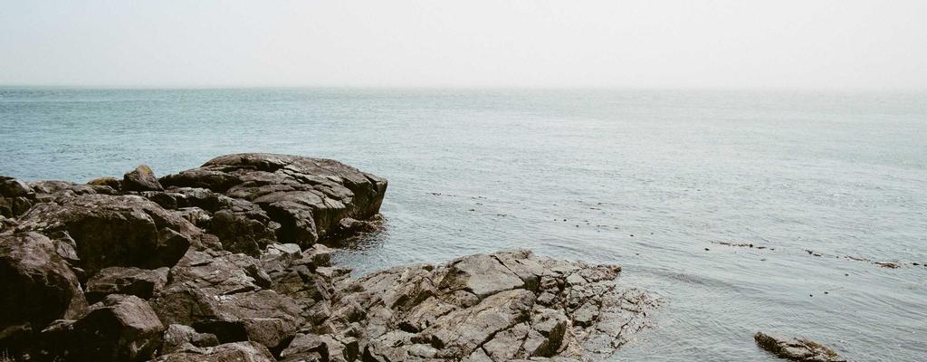 Unlock Your Potential: Fitness Guide 13