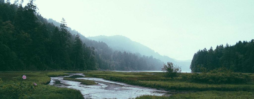 Unlock Your Potential: Fitness Guide 20