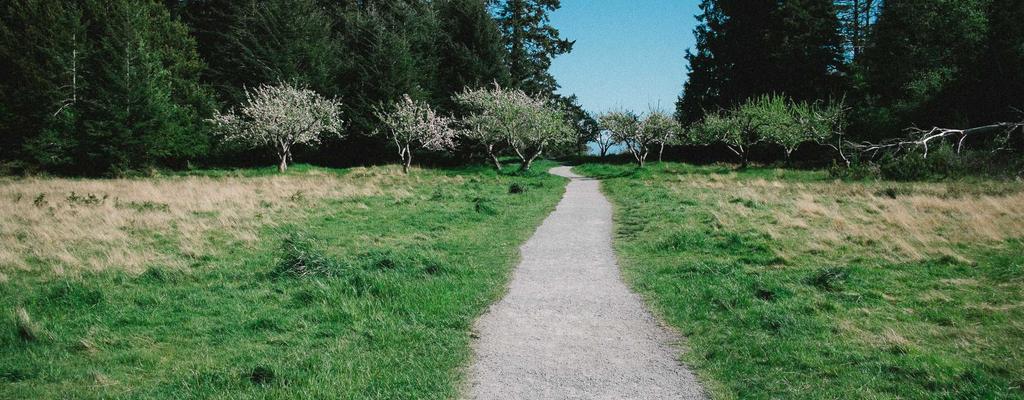 Unlock Your Potential: Fitness Guide 16